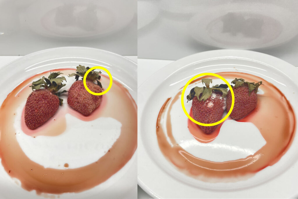 Day 3 - Strawberries from 32c car dashboard.
