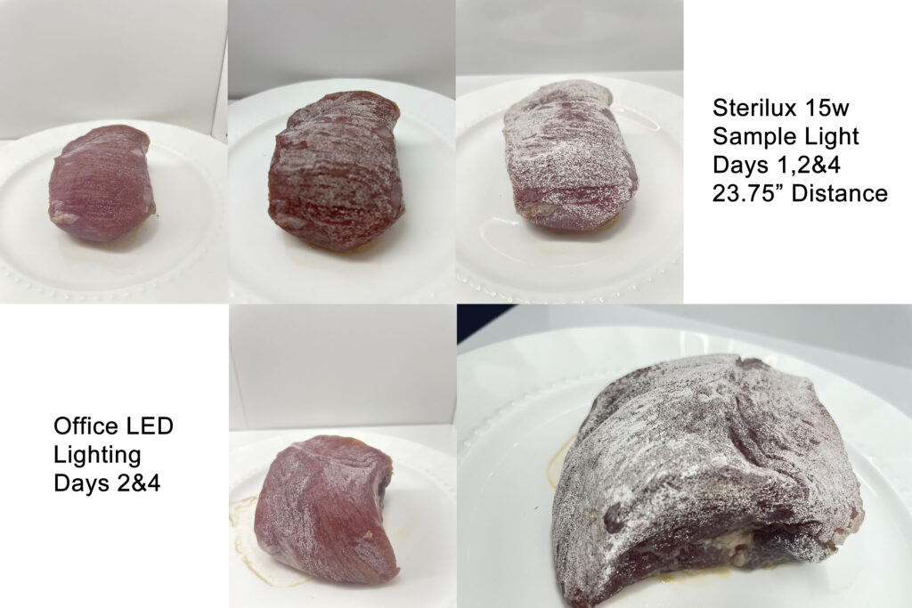Day4 - DIY Rot Pork Test