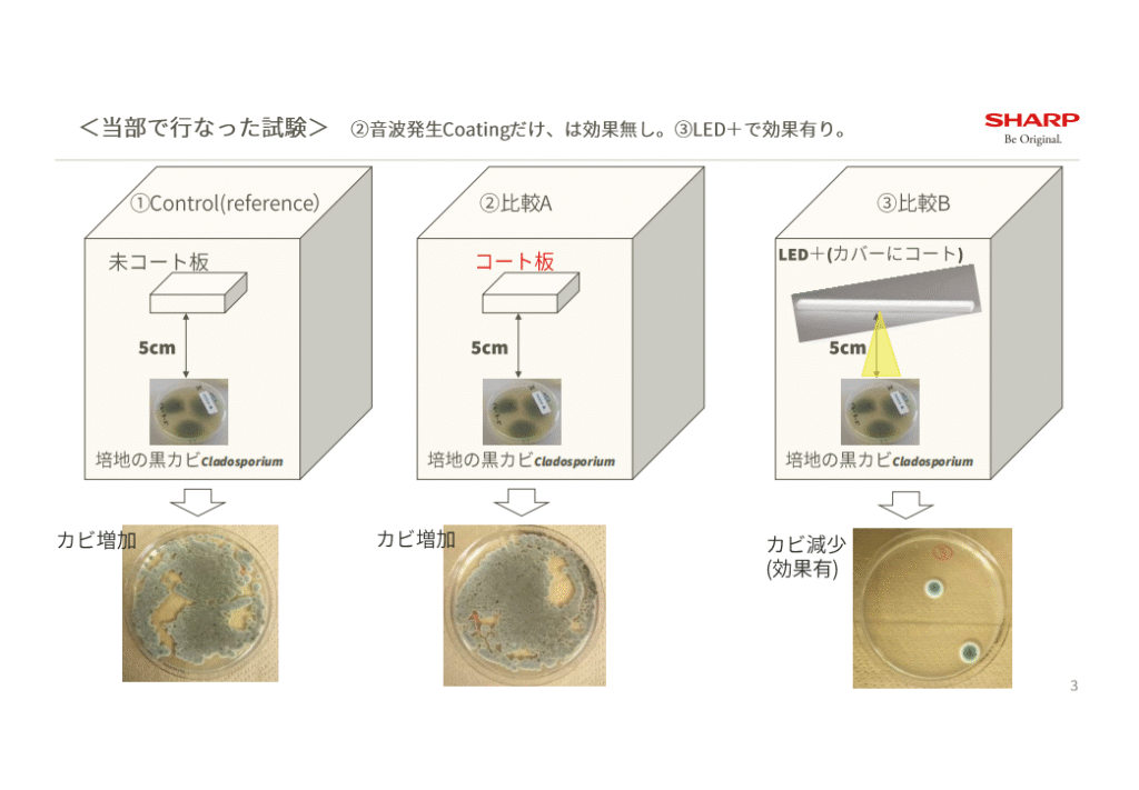 Image_20250624113147